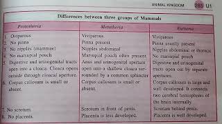 difference between protheria metatheria and eutheria mammals best handwritten study notes [upl. by Nnyloj]