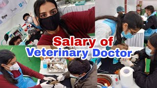 Salary of Veterinary Doctor 🤯💯 vet veterinary veterans new neet newvideo veterans salary [upl. by Aneeh]