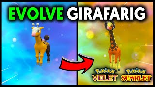 HOW TO EVOLVE GIRAFARIG INTO FARIGIRAF ON POKEMON SCARLET AND VIOLET [upl. by Brufsky]