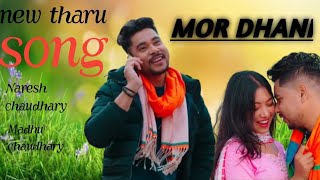 new tharu song mor dhani videonew tharu video 2024 [upl. by Matrona]