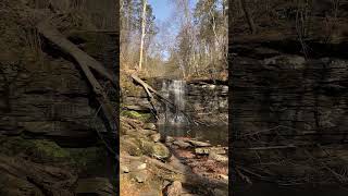 Ricketts Glen 11424 water waterfall getoutside autumn nature river birthday hiking fun [upl. by Ytrebil]