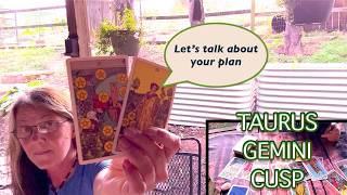 Taurus Gemini Cusp Horoscope Tarot Astrology Today  Lets Talk About the Plan  Timeless Reading [upl. by Leatri]