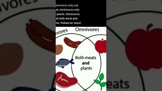 Sciences herbivores  carnivores and omnivores [upl. by Lah]