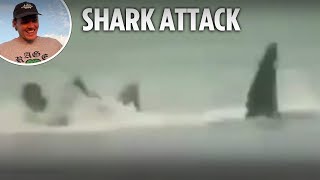 Horror footage of shark taking bite out of surfer as he desperately tries to escape [upl. by Jolda]