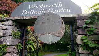 A drive to Grasmere a visit to Willlam Wordsworth Daffodil garden and grave [upl. by Vas]