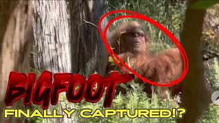 Bigfoot Caught on Camera [upl. by Cirdec]