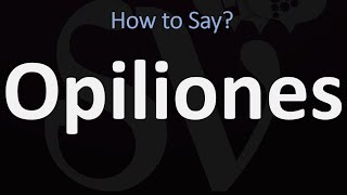 How to Pronounce Opiliones CORRECTLY [upl. by Animar416]