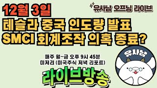 12월 3일 미저리 브리핑  테슬라 중국 인도량 발표 [upl. by Ateerys]