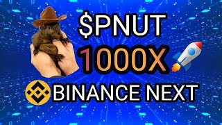 💥PEANUT THE SQUIRREL💥 PNUT COIN BINANCE LISTING  ELON MUSK  1000X SOON  🚀🚀🚀 [upl. by Tuddor]