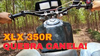 XLX 350 TESTANDO CARBURADOR KOSO  PUNHO RÁPIDO  UMA MOTO RAIZ eu achei uma coisa no caminho [upl. by Ziguard]