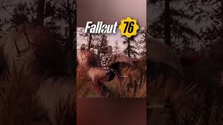 Fallout 76 First Map Expansion [upl. by Lotus]