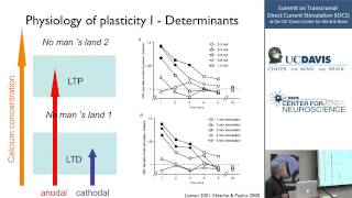 Physiological Basis of tDCS [upl. by Ocinom325]