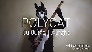 POLYCAT  มันเป็นใคร  Alright  bass cover  😸😻🙀 [upl. by Hazelton626]