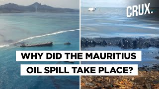 Indian Captain Of Japanese Ship Responsible For Oil Spill Arrested In Mauritius [upl. by Grof879]