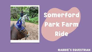 Somerford parks farm ride  Fun ride  GOPRO hack  Abbies Equestrian [upl. by Naaman]