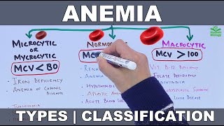 Anemia  Types and Classification [upl. by Ybbor]