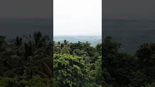 Misty green hills short shortsvideo malappuram [upl. by Hteazile]