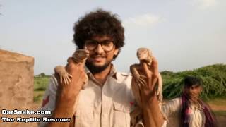 what happen after monitor lizard bite me must watch this video [upl. by Akyeluz]