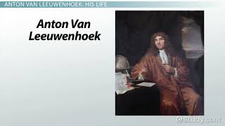 Unveiling the Microscopic World The Remarkable Discoveries of Anton van Leeuwenhoek [upl. by Aneres115]