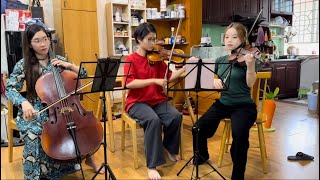 Perfect  Ed Sheeran  Tam Tấu  Violin amp Cello [upl. by Zendah566]