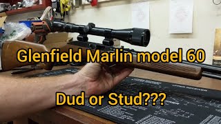 Glenfield Model 60 from dud to stud [upl. by Ssyla]