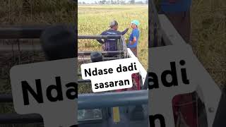 Perkoro SRI ndase dadi sasaran [upl. by Nuahsyar]