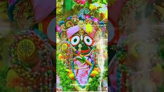 pritire iti Hou poda pita kiha prabhu he JAY JAGANNATH VIDIO SHOTS [upl. by Ludwig]