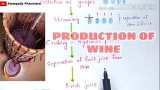 Preperation of wine by fermentation in industries  Production of wine  Grape wine  Bio science [upl. by Levy]