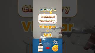 VinegarSalt🧂Clean Coins at Homechemistryexperimenthackshortsviralvideofypfunlearnstemdiy [upl. by Ahsekat723]