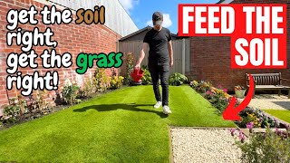 WHY and WHEN should you FEED a newly turfed LAWN [upl. by Batory319]