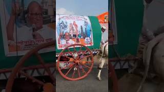 महाराष्ट्रातील खरे राजकीय चाणक्य शरद पवार साहेब maharashtra शरदपवार ytshorts politics [upl. by Atniuqal127]