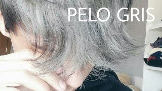 CALVO POR LA DECOLORACIÓN  Todo sobre el pelo gris [upl. by Ikila]