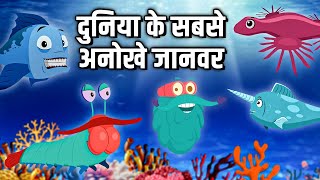 दुनिया के सबसे अनोखे जानवर  Weird Animals In The World In Hindi  DrBinocs  Educational Videos [upl. by Ididn]