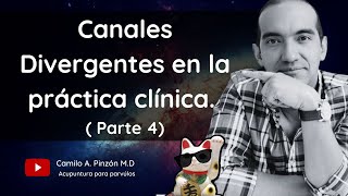 CANALES DIVERGENTES EN LA PRACTICA CLINICA  PARTE 45  Acupuntura para párvulos [upl. by Enalahs315]