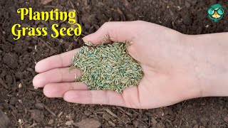 How to Plant Grass Seed on Hard Dirt How to Prepare Hard Soil for Grass Seed [upl. by Joktan]