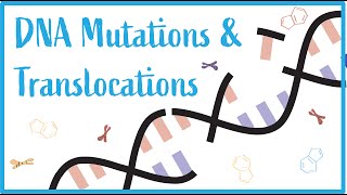 DNA Mutations amp Translocations Beautiful USMLE Lectures [upl. by Annoerb]