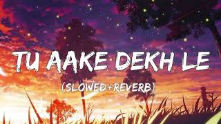 Samjho na × Wishes  Tu akee Dekh Ly  SlowedReverb [upl. by Nyletac]