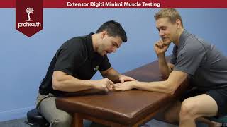 Extensor Digiti Minimi Muscle Testing Palpation Dr Vizniak Muscle Manual [upl. by Quincy581]