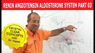 Renin Angiotensin Aldosterone System  RAAS Part 3👨‍⚕️ [upl. by Salomone]