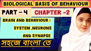 Biological basis of behaviour ✓ 🥰  Neuron synapse system 😃 bscnursing viralvideos [upl. by Templeton819]