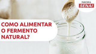 Como alimentar e fazer fermento natural – CANAL SENAIPADACON [upl. by Nebur]