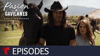 Pasión de Gavilanes New Season  Episode 4  Telemundo English [upl. by Ydnamron]