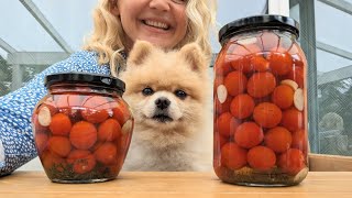 Tomaten einmachen lange haltbar und sehr lecker einkochen einlegen Tomaten Rezepte [upl. by Rhiana]