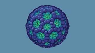 Transmission of Norovirus [upl. by Rooker]