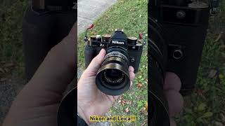 Vintage Leica Lens on the Nikon Zf mirrorless camera for the win What a combination nikonzf [upl. by Gizela]