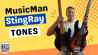 MusicMan StingRay Bass TONES I LOVE this bass… [upl. by Anitsuj]