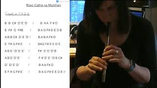 Tin Whistle Rosc Catha Na Mumhan [upl. by Minetta]