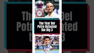 The Year Del Potro Defeated the Big 3 [upl. by Acinomal862]