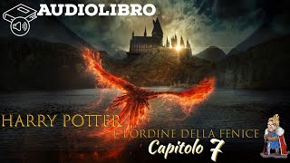 Audiolibro  Harry Potter e lordine della fenice  Lettura e Commento LIVE Cap 7 [upl. by Haimarej382]