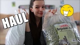 Spontaner MEERSCHWEINCHENHAUL [upl. by Irami]